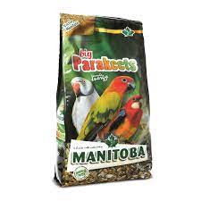 Big parakeets thức ăn của vẹt trung