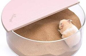 cát tắm chuột hamster