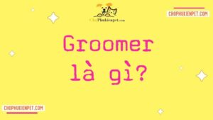 groomer là gì