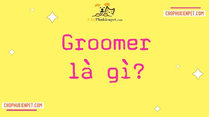 groomer là gì