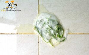 chó bị nôn ra bọt trắng