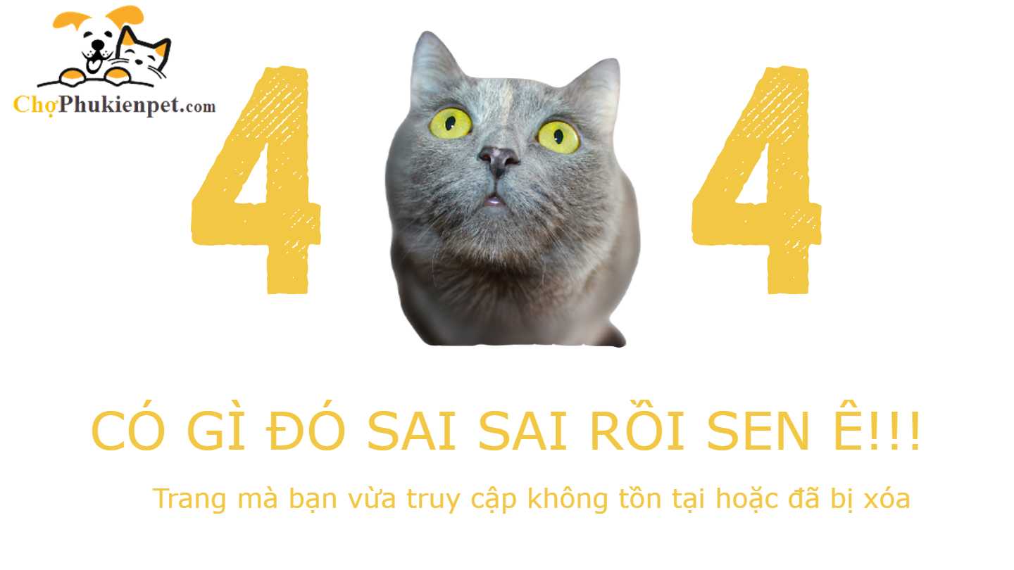 trang 404 thú cưng