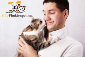 mèo có hiểu tiếng người không