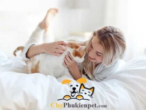 nuôi mèo trong phòng ngủ