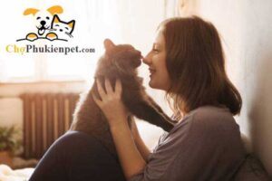 dấu hiệu mèo thích bạn