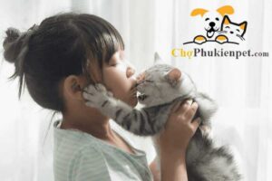 có nên nuôi mèo không